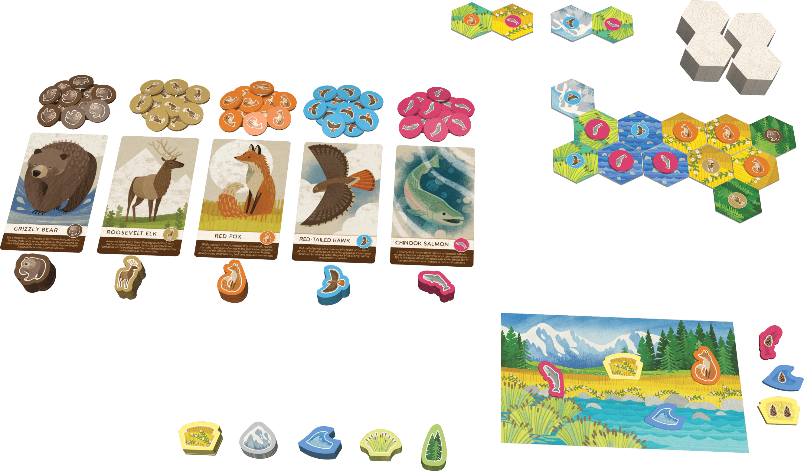 Cascadia Junior - Gaming Library