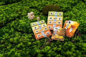 Meadow Adventure Book - Gaming Library