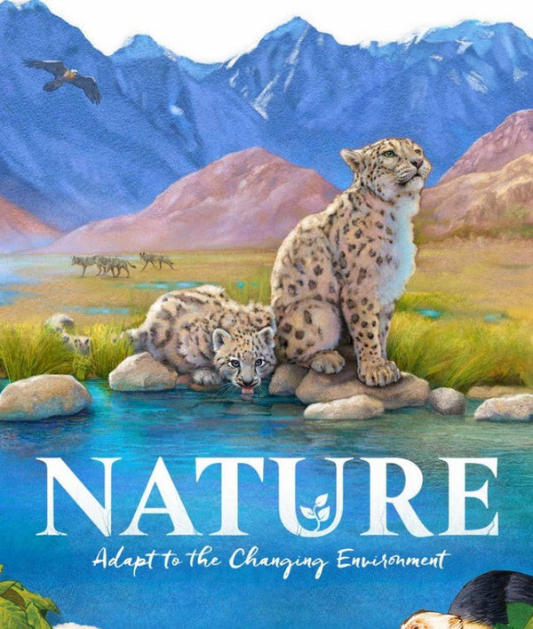 Nature Deluxe Big Box
