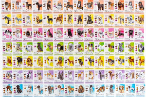 Dog Park (Standard Edition) - Gaming Library