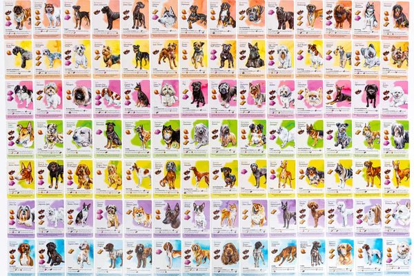 Dog Park (Standard Edition) - Gaming Library