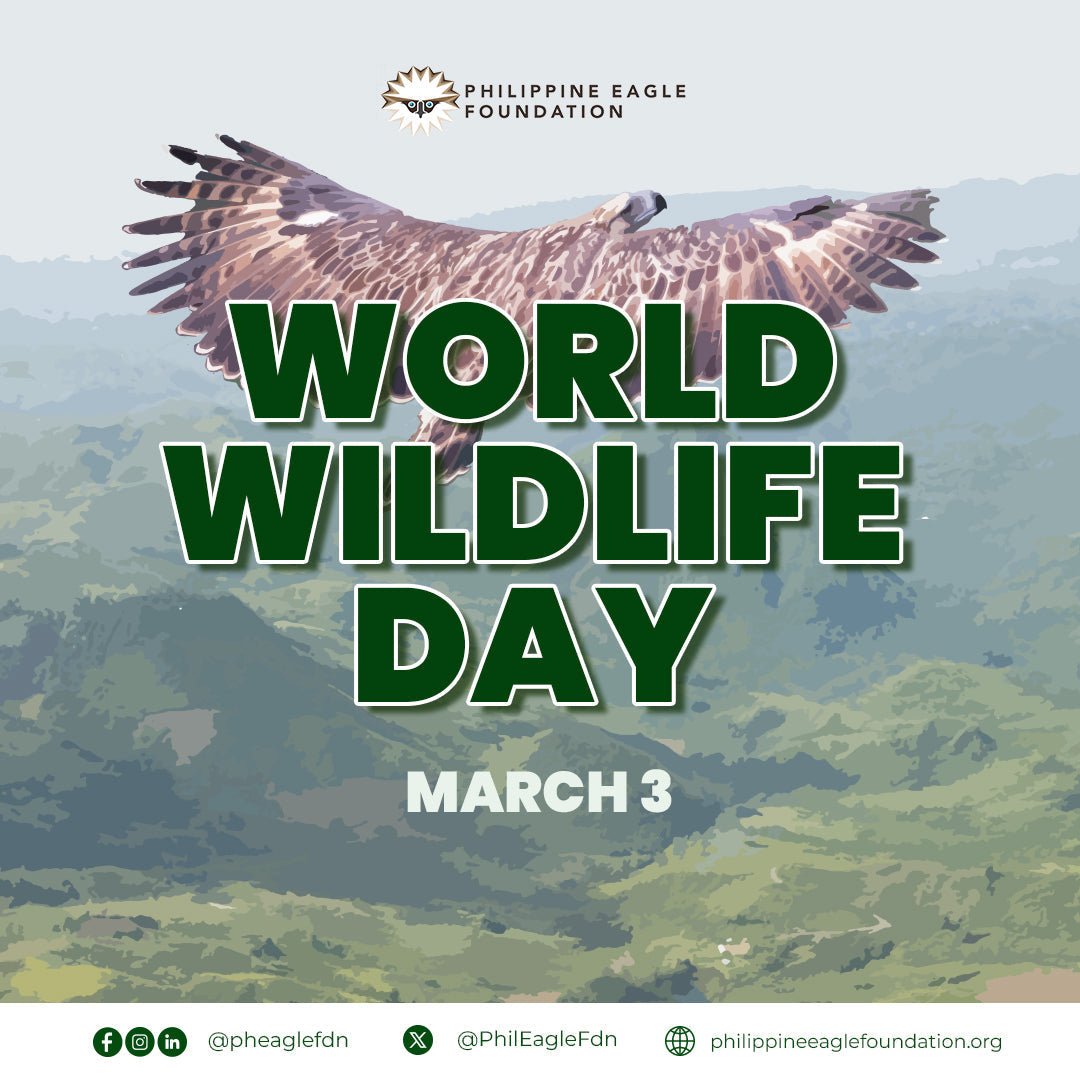 March 3 is World Wildlife Day - Gaming Library