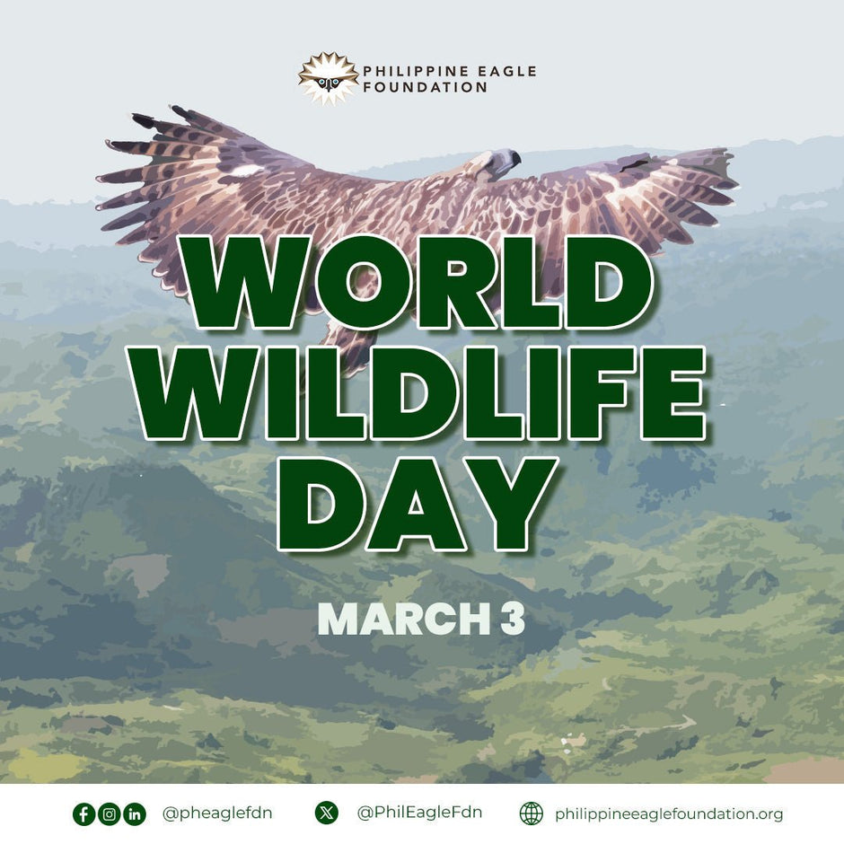 March 3 is World Wildlife Day - Gaming Library