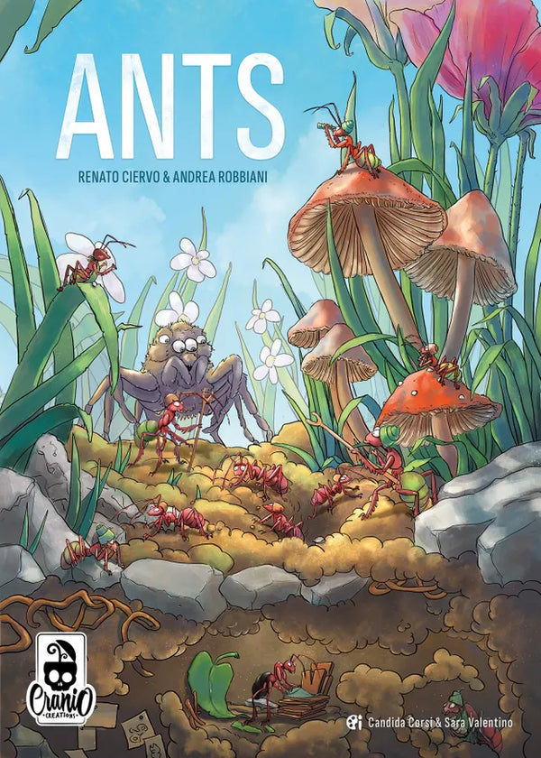 Ants