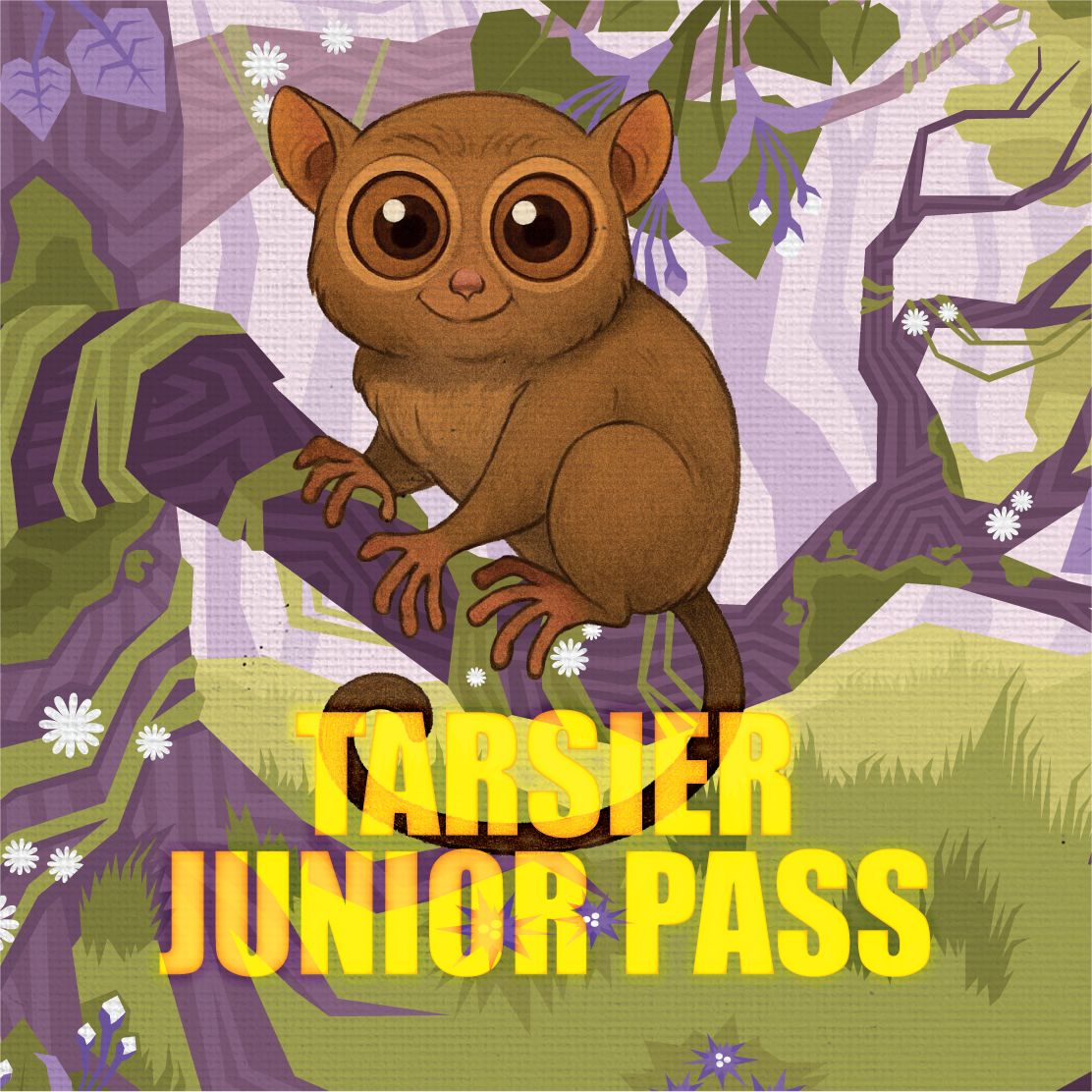 All aBOARD EXPO 2026 - Tarsier Junior Pass