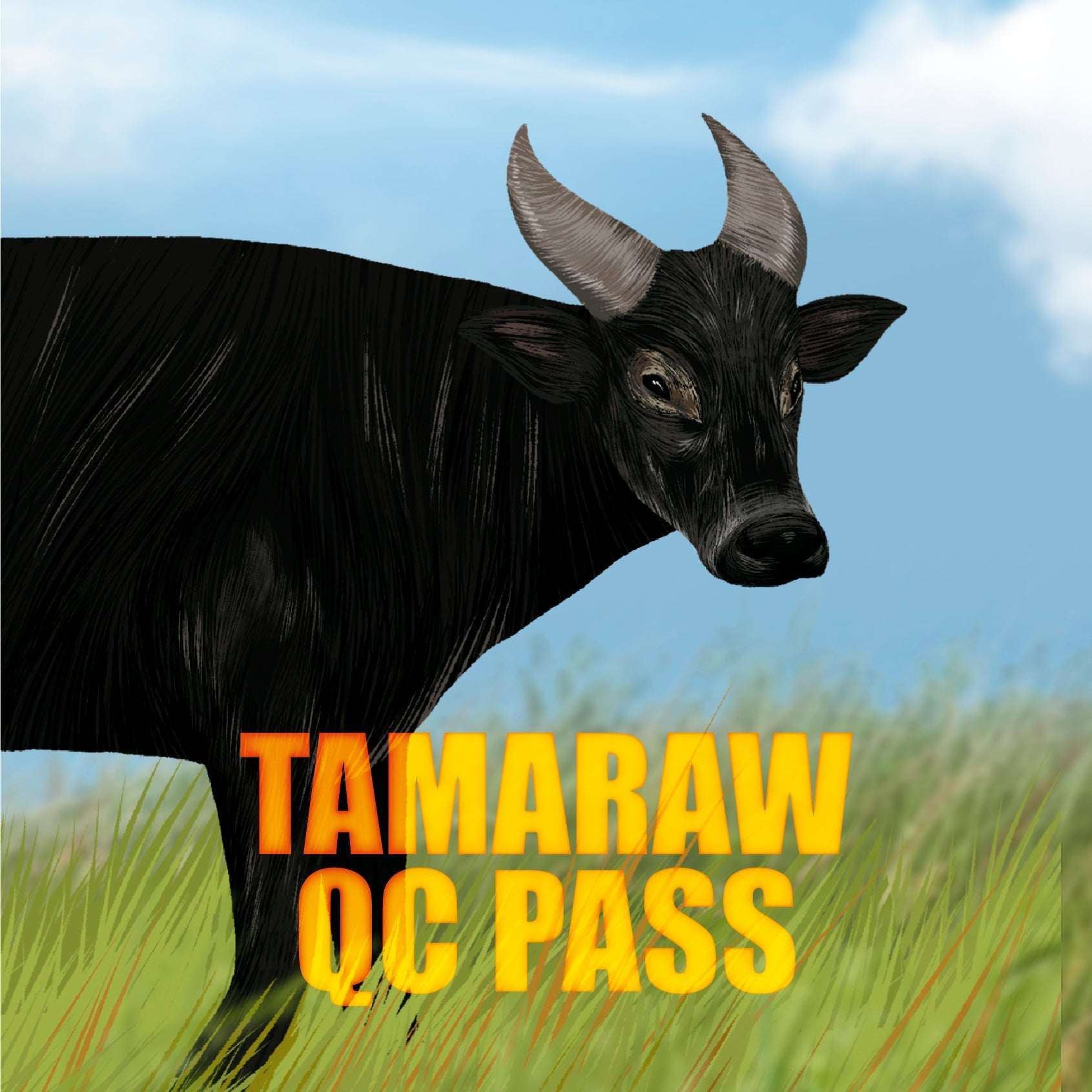 All aBOARD EXPO 2026 - Tamaraw (QC) Pass - Gaming Library