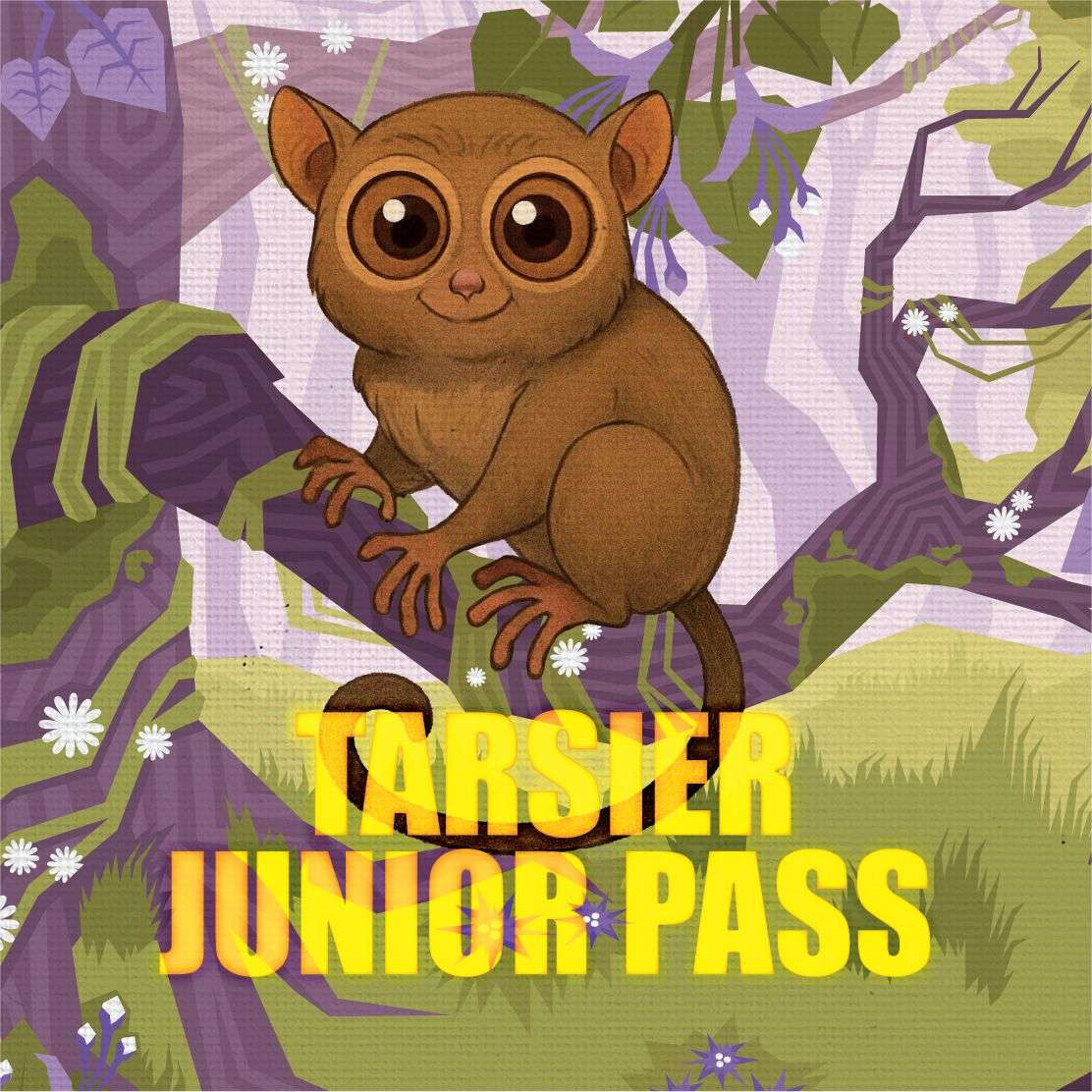 All aBOARD EXPO 2026 - Tarsier Junior Pass - Gaming Library