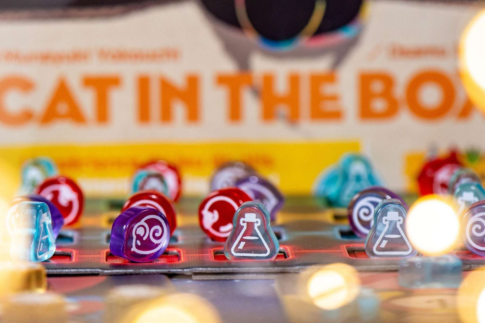 Cat in the Box - Gaming Library