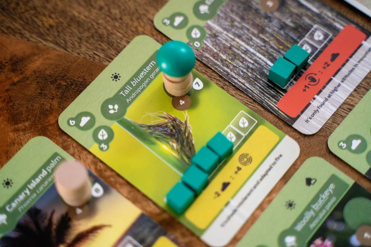 Earth (Retail Edition) - Gaming Library