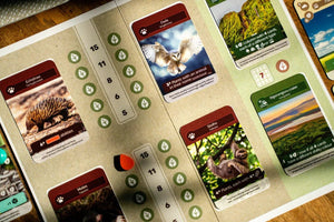 Earth (Retail Edition) - Gaming Library