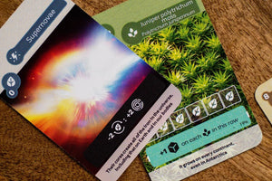 Earth (Retail Edition) - Gaming Library