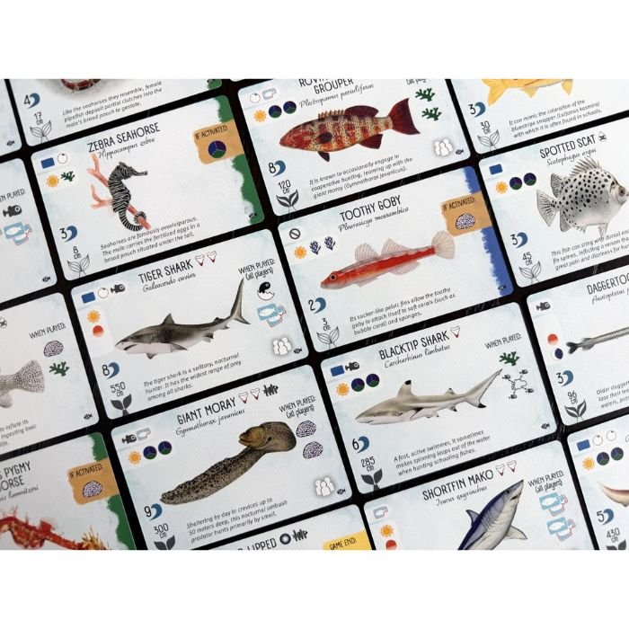 Finspan: Sharks and Reefs - Gaming Library
