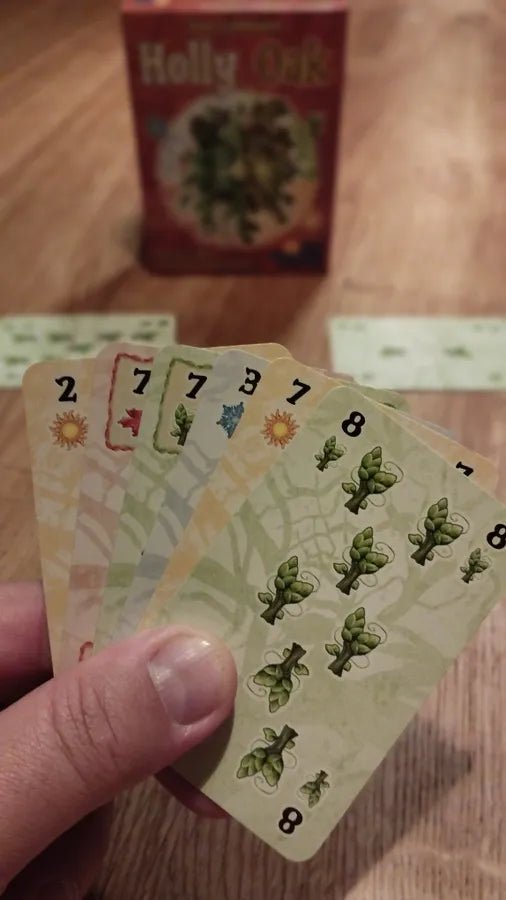 Holly Oak - Gaming Library