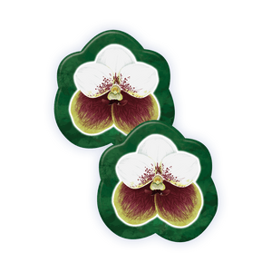 Kalikasan: Cascadia PH Edition - Gaming Library