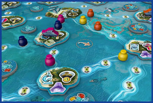 Reef Project - Gaming Library