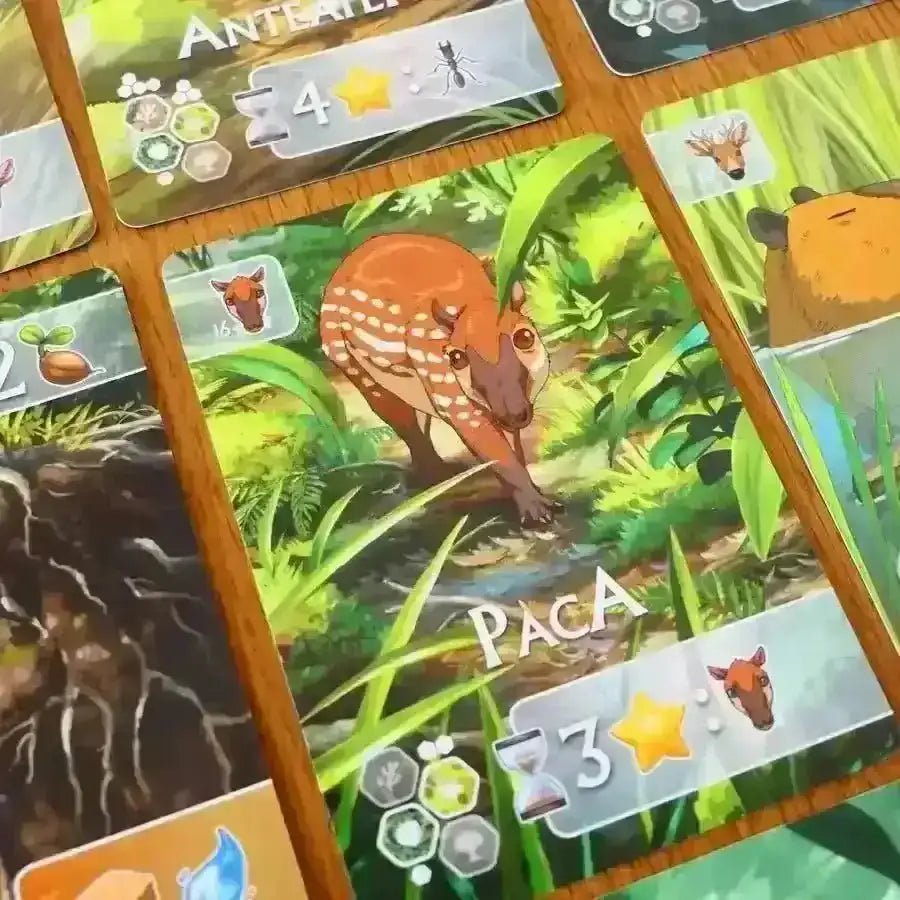 Rewild: South America - Gaming Library