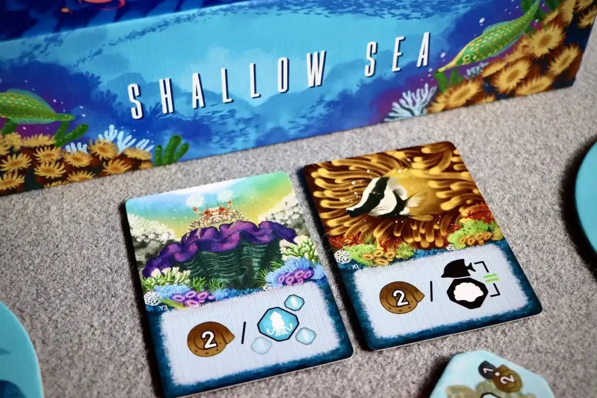Shallow Sea - Gaming Library