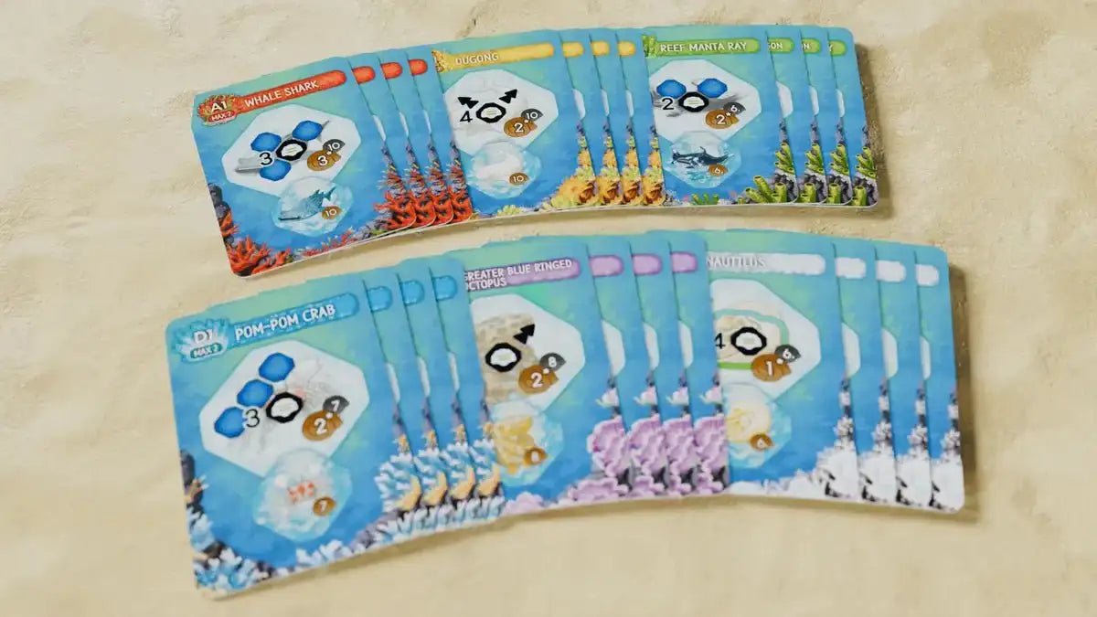 Shallow Sea: Bundle - Gaming Library