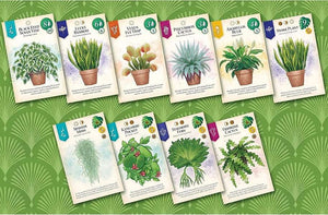 Verdant Retail Ed - Gaming Library