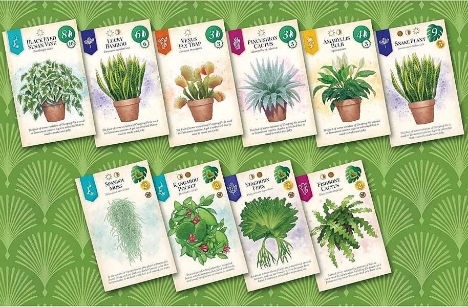 Verdant Retail Ed - Gaming Library