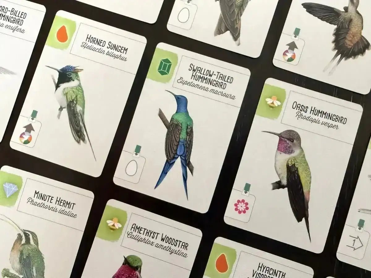 Wingspan: Americas Expansion - Gaming Library