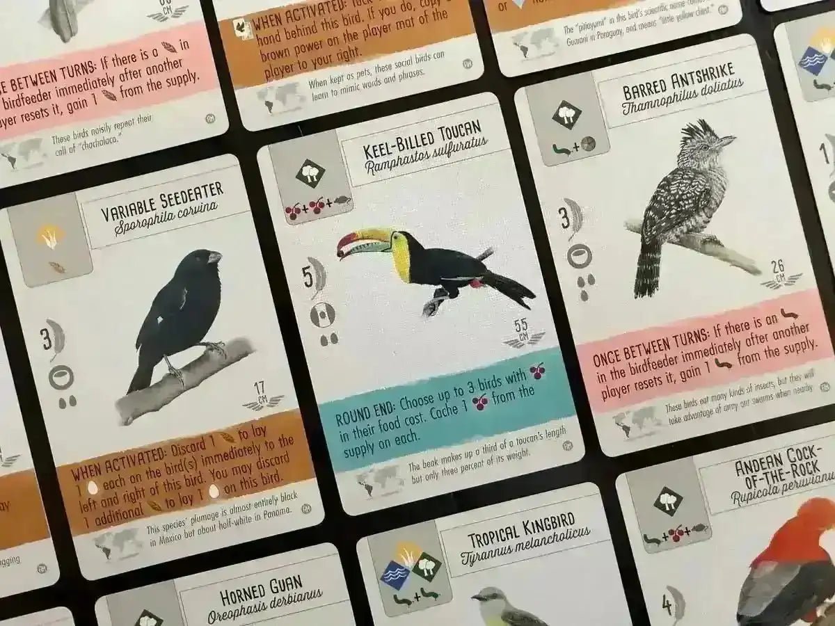 Wingspan: Americas Expansion - Gaming Library
