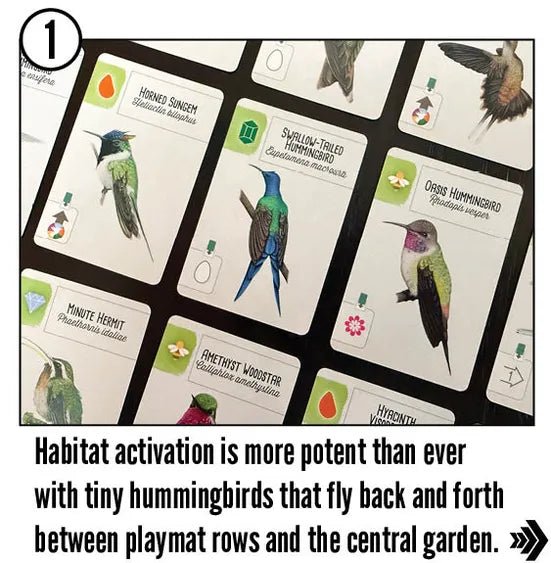 Wingspan: Americas Expansion - Gaming Library