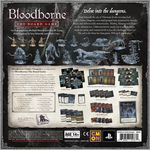 Bloodborne: Chalice Dungeon - Gaming Library