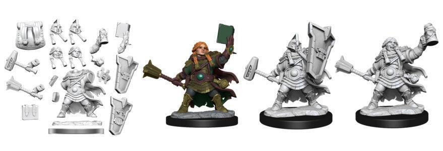 D&D Frameworks: Dwarf Cleric Female  - Gaming Library
