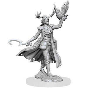 D&D Frameworks: Human Druid Female  - Gaming Library