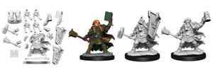 D&D Frameworks: Dwarf Cleric Female  - Gaming Library