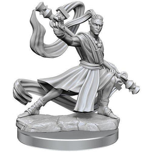 D&D Frameworks: Elf Monk Male  - Gaming Library