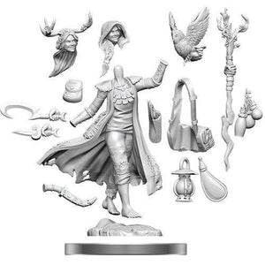 D&D Frameworks: Human Druid Female  - Gaming Library