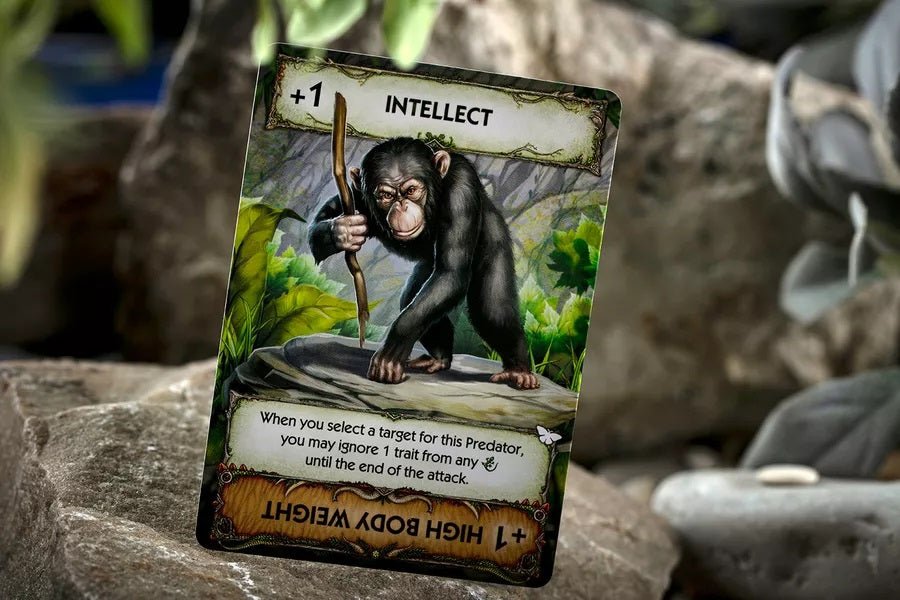 Evolution: New World - Butterfly Effect - Gaming Library