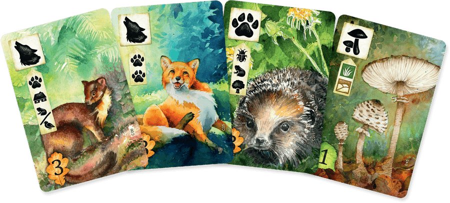 Meadow - Gaming Library